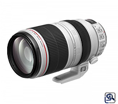 Canon EF 100-400/4,5-5,​6 L IS II USM  leasen